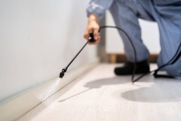Licensed Termite Control service in Roberta, GA - Nex Pest Control