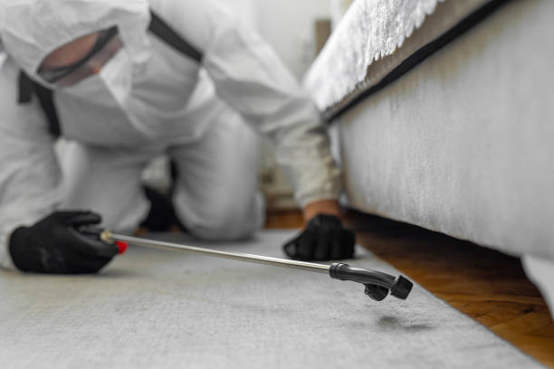 Professional Termite Control technician working in Roberta, GA
