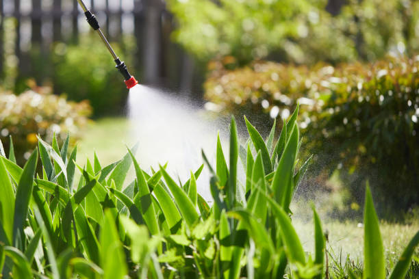 24/7 Emergency Termite Control experts in Roberta, GA
