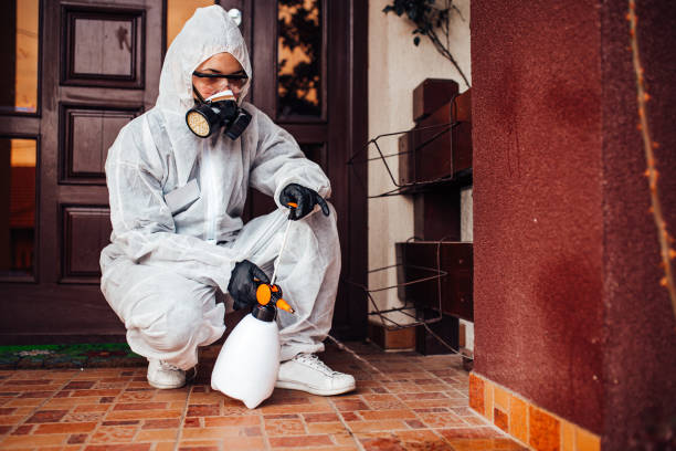 Reliable Termite Control contractor in Roberta, GA by Nex Pest Control